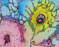 Exhibition: Kelly Scott