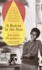 A Raisin in the Sun by Lorraine Hansberry