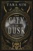 City of Dusk book cover