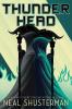 Thunderhead book cover