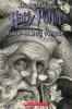 Harry Potter and the Half-blood Prince book cover