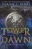 Tower of Dawn Tower of Dawn book cover