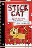 Stick Cat: A Tail of Two Kitties book cover